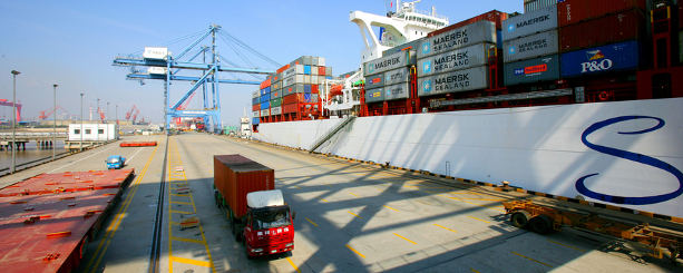 sea freight and shipping from china